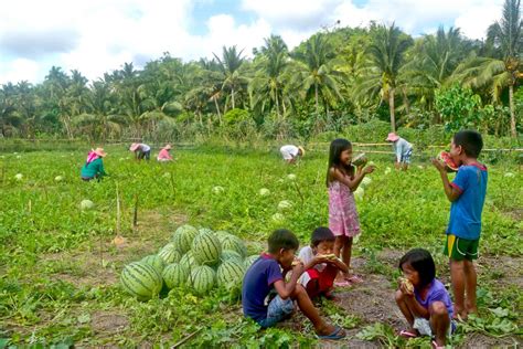 iyotan sa probinsya|Probinsiya Meaning .